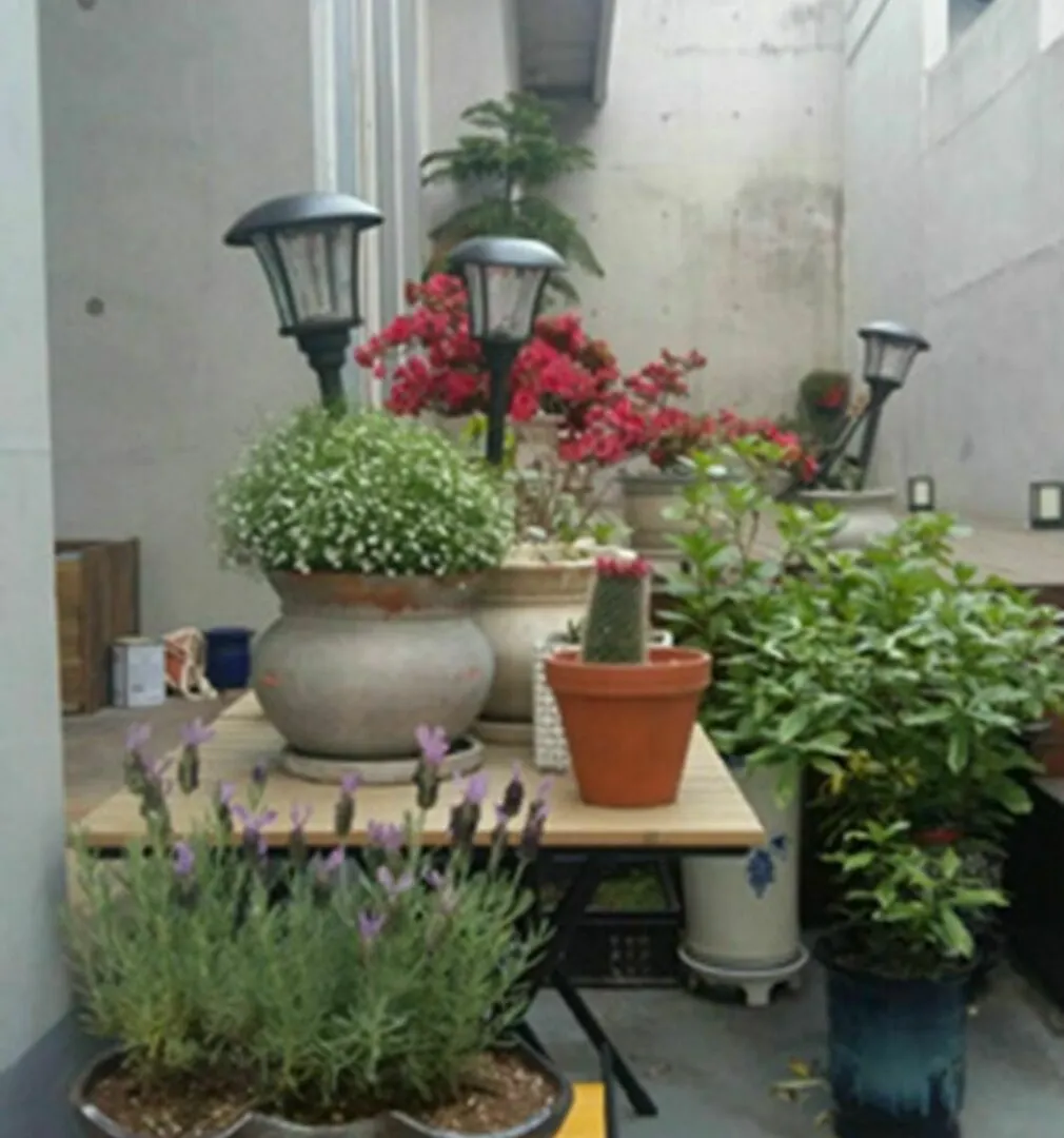 Gwangan Bridge Guesthouse Busan Guest house